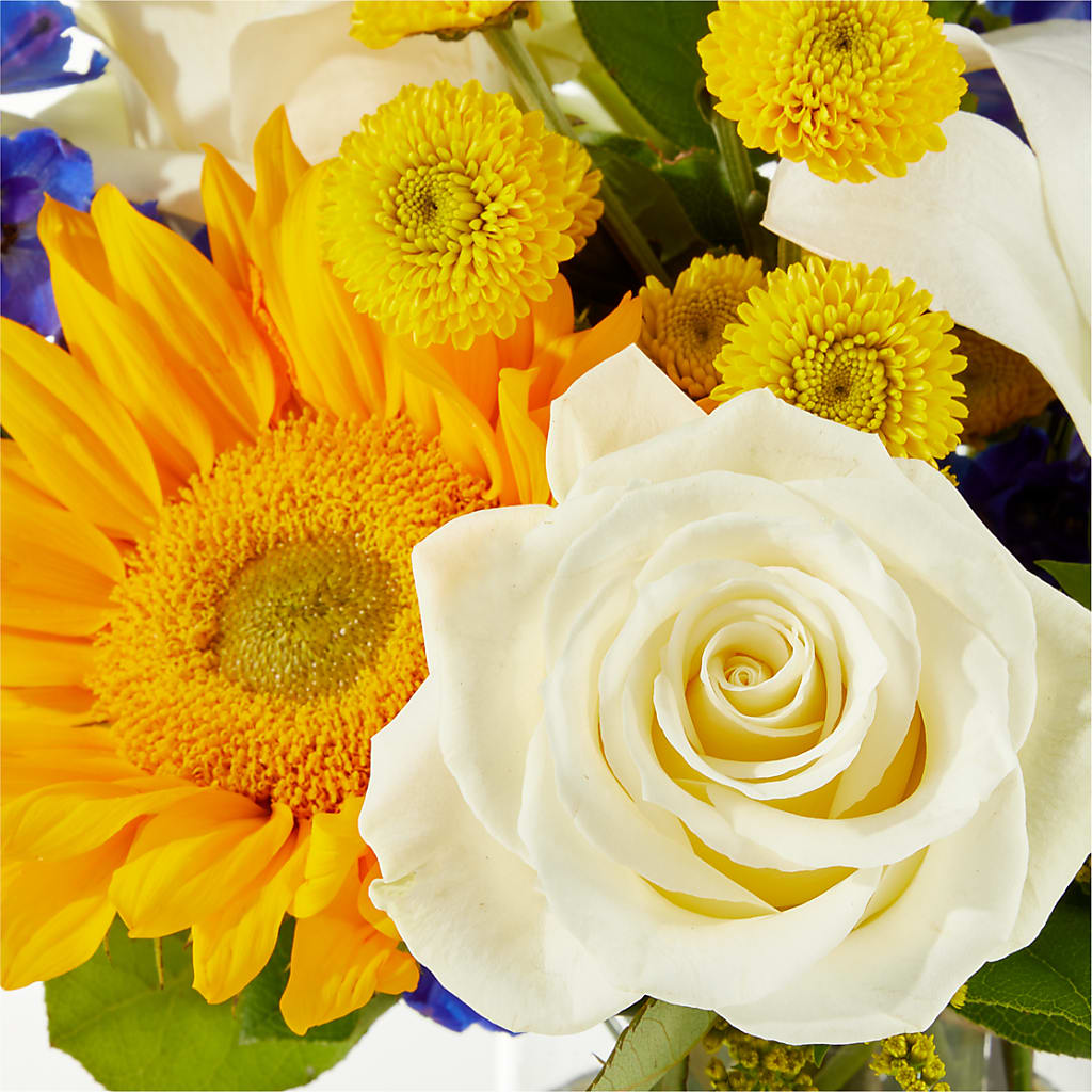 Stargazing Bouquet –  Garden Of Eden Florist Inc, Coplay PA