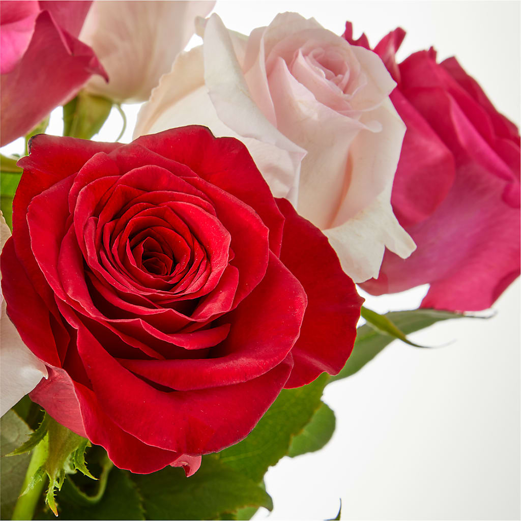 Charming Rose Bouquet –  Garden Of Eden Florist Inc, Coplay PA