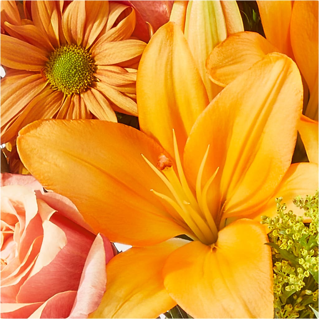 Harvest Hayride Bouquet –  Garden Of Eden Florist Inc, Coplay PA
