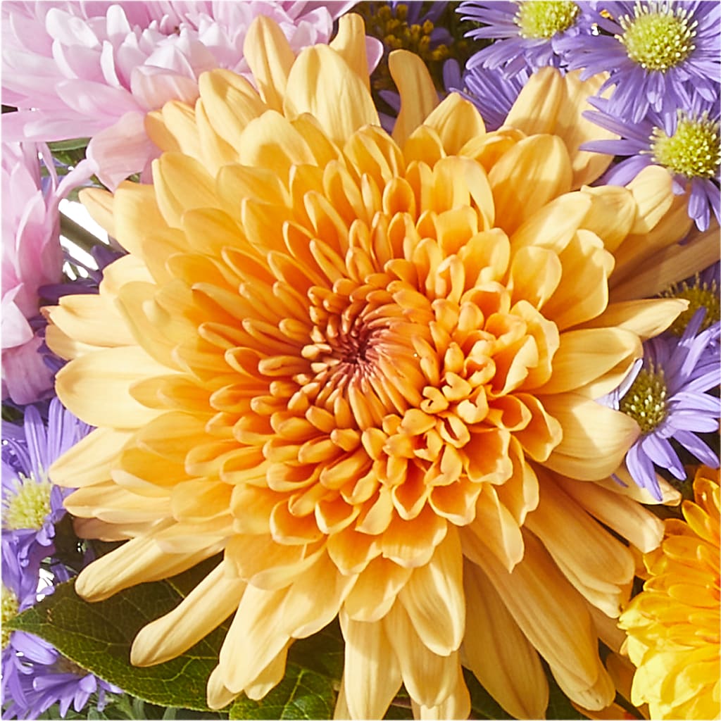 Countryside Bouquet –  Garden Of Eden Florist Inc, Coplay PA