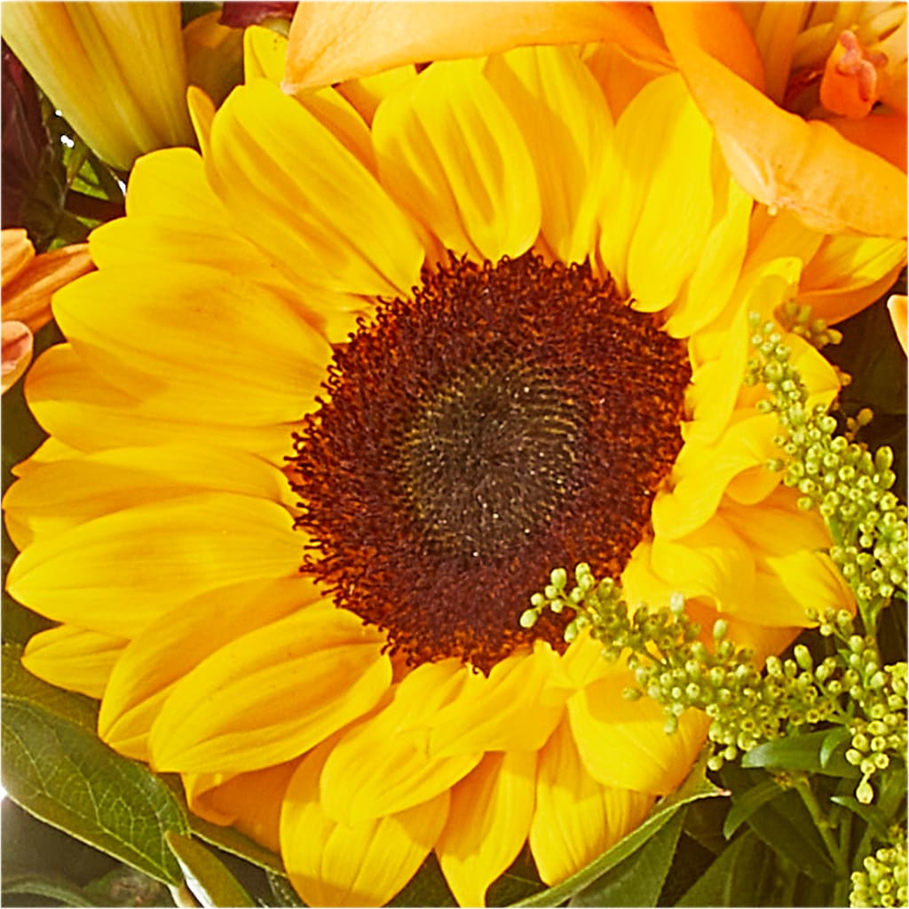 Seasons Change Bouquet –  Garden Of Eden Florist Inc, Coplay PA