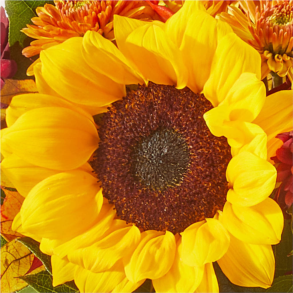 Sunny Side Bouquet –  Garden Of Eden Florist Inc, Coplay PA