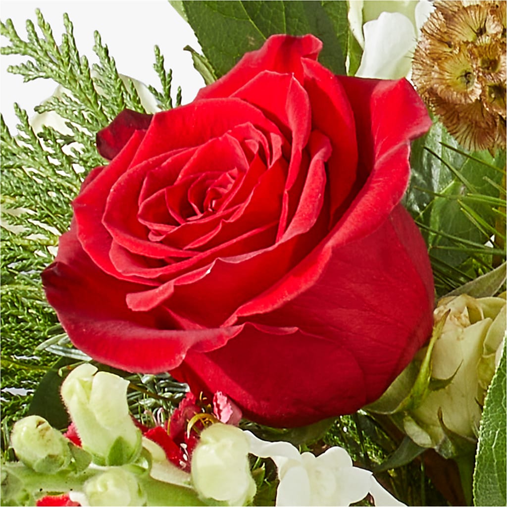 Deck the Halls Bouquet –  Garden Of Eden Florist Inc, Coplay PA