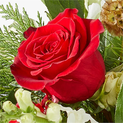 Deck the Halls Bouquet –  Garden Of Eden Florist Inc, Coplay PA