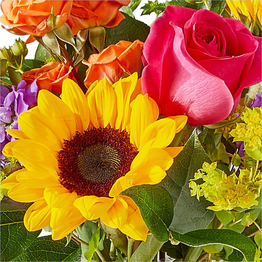 Vibrant Greetings Bouquet –  Garden Of Eden Florist Inc, Coplay PA