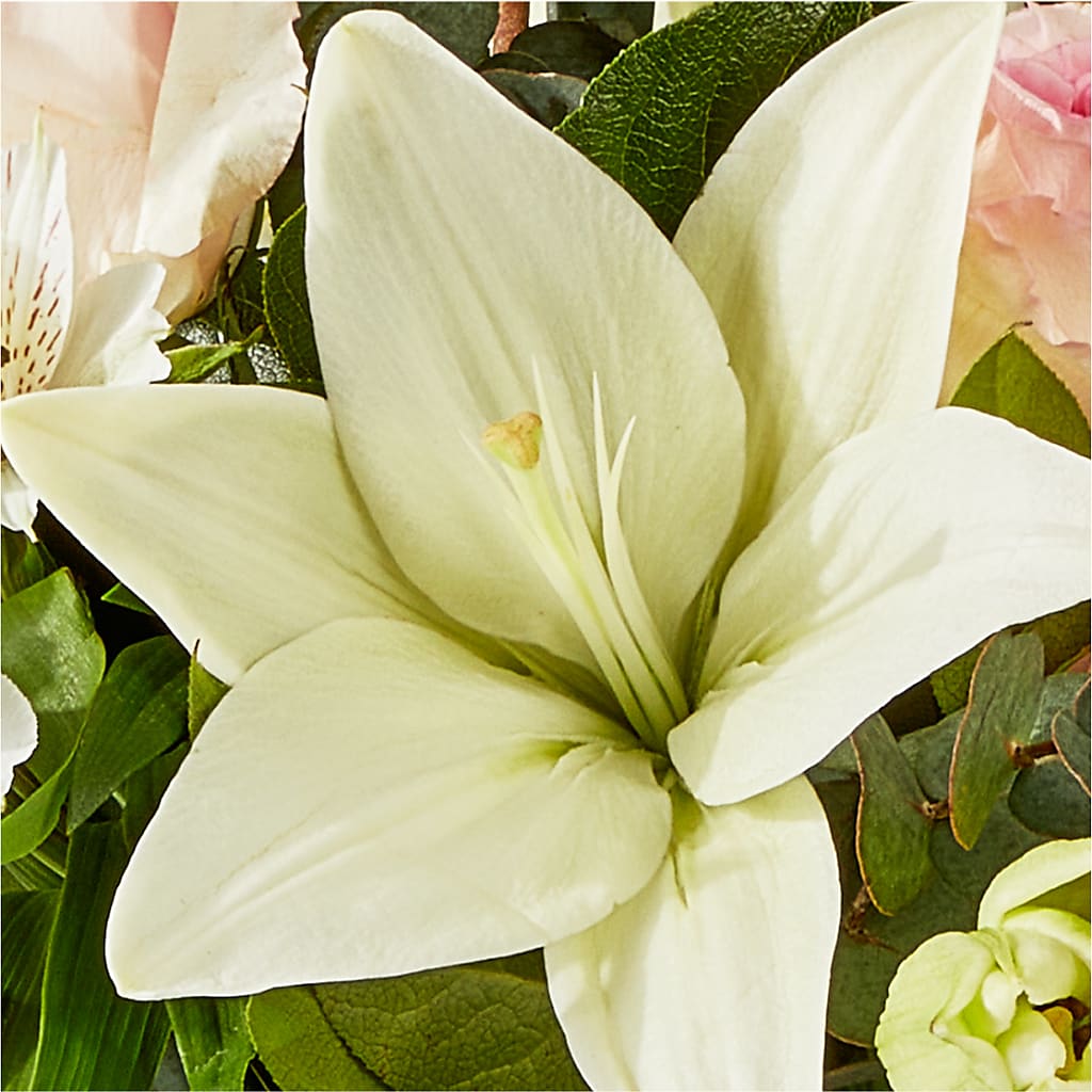 Ballet Slippers Bouquet –  Garden Of Eden Florist Inc, Coplay PA