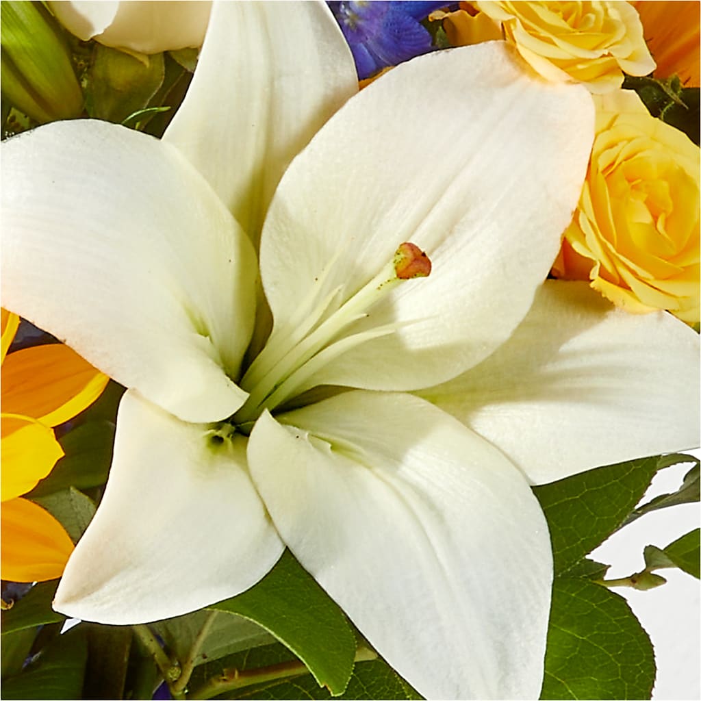Wonderfully Sunny Bouquet –  Garden Of Eden Florist Inc, Coplay PA