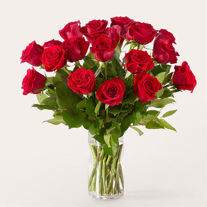 The One Red Rose Bouquet –  Garden Of Eden Florist Inc, Coplay PA