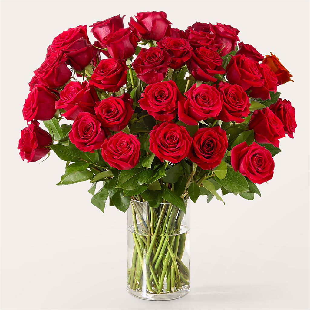 The One Red Rose Bouquet –  Garden Of Eden Florist Inc, Coplay PA