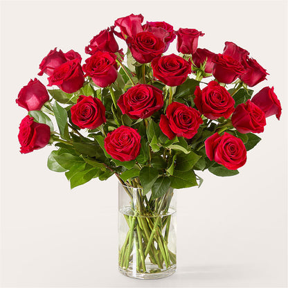 The One Red Rose Bouquet –  Garden Of Eden Florist Inc, Coplay PA