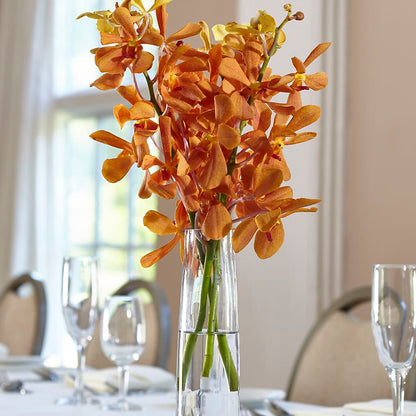 Orange Mokara Bud Vase –  Garden Of Eden Florist Inc, Coplay PA