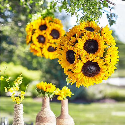 Sublime Garden Hanging Arrangement –  Garden Of Eden Florist Inc, Coplay PA