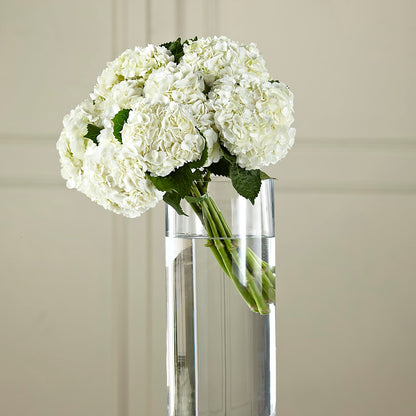 White Hydrangea Hand-Tied Bouquet –  Garden Of Eden Florist Inc, Coplay PA