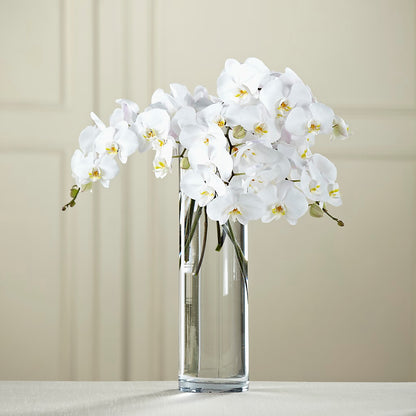 White Phalaenopsis Bouquet –  Garden Of Eden Florist Inc, Coplay PA