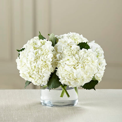 White Hydrangea Bouquet –  Garden Of Eden Florist Inc, Coplay PA